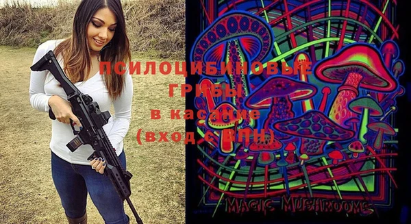бошки Дмитров