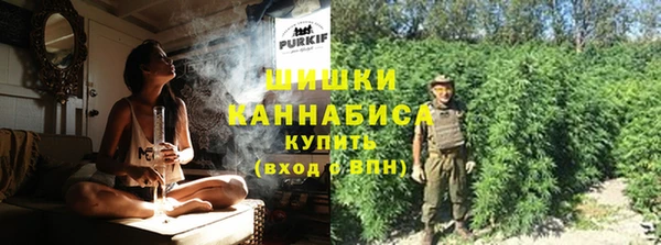 бошки Дмитров
