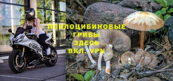 первитин Дмитриев