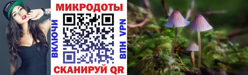 Купить закладки  Олонец  Псилоцибиновые грибы прущие грибы 